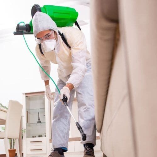 Termite control and inspection service by Cochran Pest Control Inc