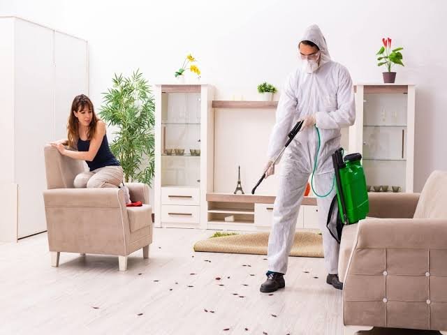 The Household Pest Threat: Keeping Your Living Spaces Secure